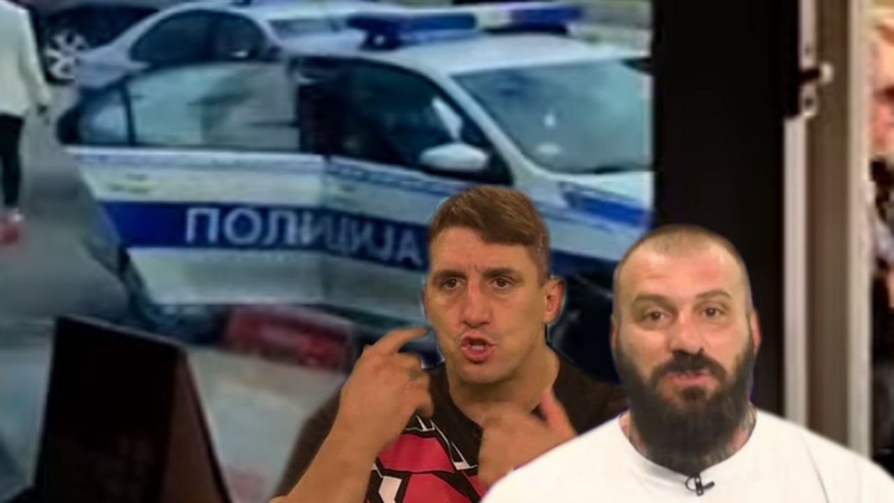 zadruga