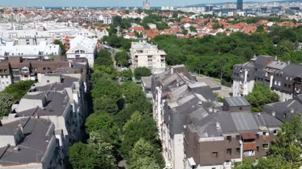 bežanijska kosa