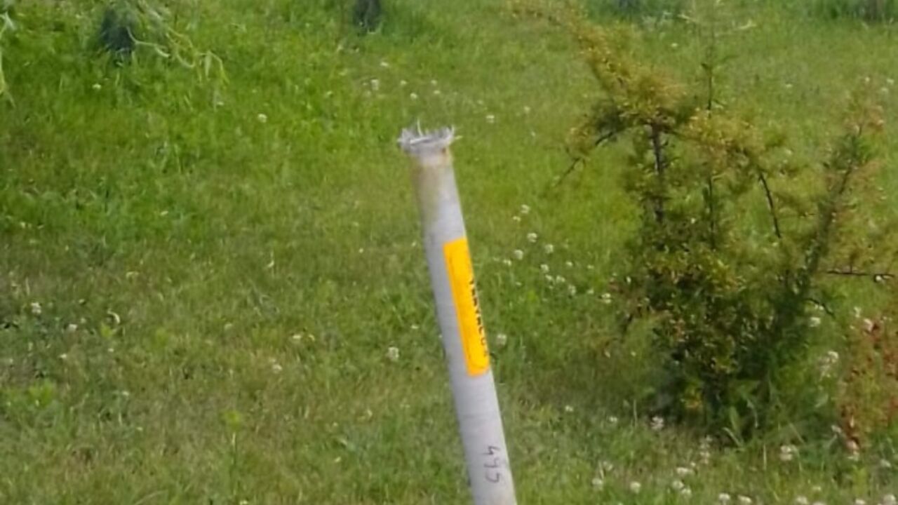 Topola
