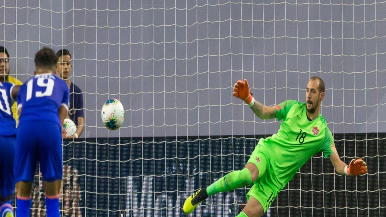 Milan Borjan