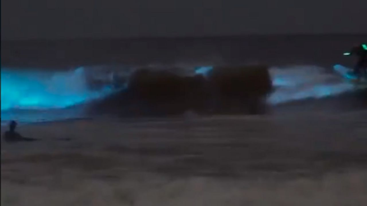 luminescenc