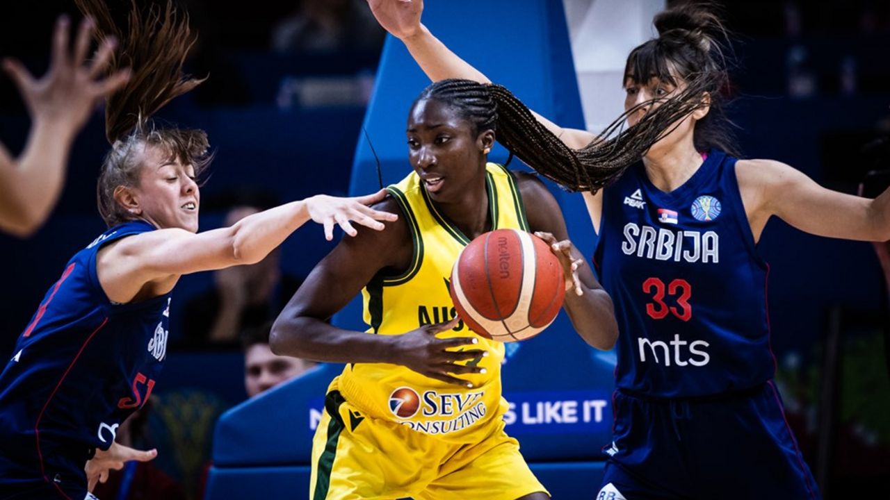 košarka